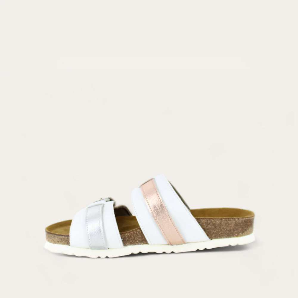 Santa Cruz